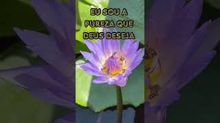 Transforme Sua Energia com o Poder do Mantra da Chama Violeta mudancaspositivas [upl. by Kcirtap]