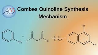 Combes Quinoline Synthesis Mechanism  Organic Chemistry [upl. by Mcclimans]