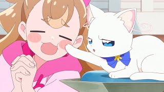 Neko Punch  Wonderful Precure meme [upl. by Ria188]