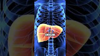 3 Worst Foods to Avoid to Protect Your Liver [upl. by Lou]