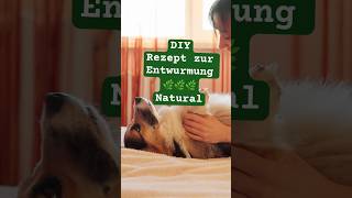 WAUfact 🚫🪱🐶DIYEntwurmung NATURAL🌿🍀 diy diyhundeleckerli hundegesundheit [upl. by Natka]