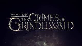 Best Grindelwald Moments and Scenes  Fantastic Beasts Movies Wizarding World  Categorized [upl. by Ayom]