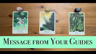 ✨Message from Your Guides✨ Pick a Card  Tarot Reading [upl. by Aramoiz435]