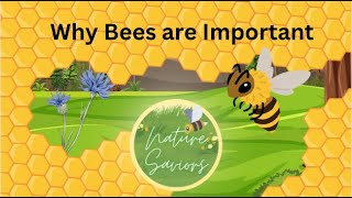 Why bees are important [upl. by Hairabez530]