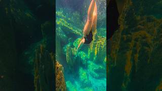 Diving in a halocline at Barracuda Lake🧜‍♀️ freediver freediving oceansounds coron palawan [upl. by Gahan552]