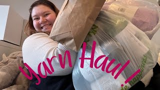 Yarn Haul Joanns and small yarn store haul and unpacking [upl. by Rehtae]