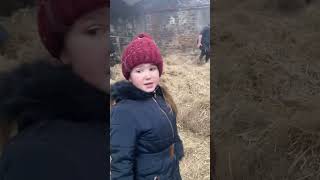 Bedding up cattle with the grandkids January 2nd [upl. by Deibel]