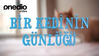 Bir Kedinin Günlüğü [upl. by Reube]