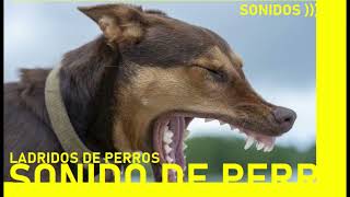 SONIDOS LADRIDO DE PERROS [upl. by Lezah]