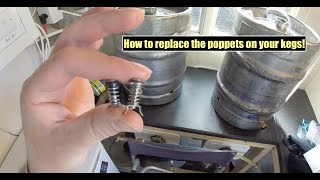 HOW TO REPLACE THE POPPETS IN YOUR CORNELIUS KEG [upl. by Nolyarb178]