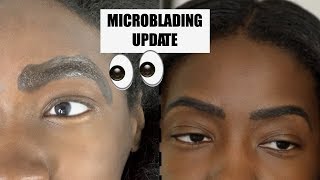 Microblading After 3 Months  Updated Brow Routine [upl. by Petr]