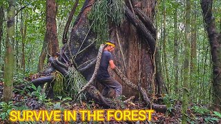 Solo survival  naluri bertahan hidup di hutan sendirian [upl. by Horodko]