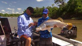 IFISH Daly River Northern Territory Barramundi [upl. by Silliw972]