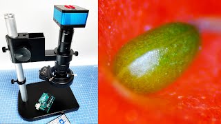 4K digital microscope HDMI for electronics soldering repair and the Moon [upl. by Leahcimal]