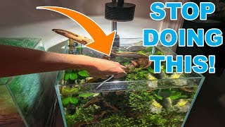 BIGGEST TIP FOR NEW AQUARIUM PLANTS [upl. by Naelcm]