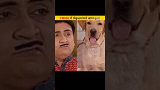 Tmkoc ka kutaa jethalal bi like 😱tmkoc short [upl. by Hammock]