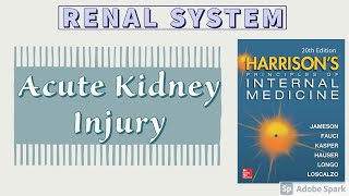 Acute Kidney Injury  Part 2 of 2  Diagnosis  Treatment  Prognosis  Harrison [upl. by Eelrebma]