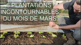 6 PLANTATIONS INCONTOURNABLES AU MOIS DE MARS Permaculture Agroécologie MSV [upl. by Araj]