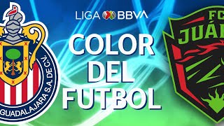 Color del Futbol  Chivas vs FC Juárez  Jornada 1  Liga BBVA MX [upl. by Nalek183]