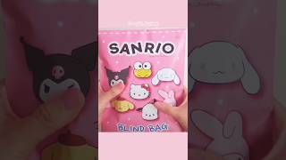 Random Sanrio Blind Bag🤔💖papercraft asmr sticker [upl. by Ihab]