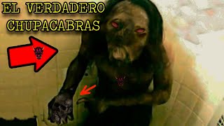 CHUPACABRAS REAL CAPTADO EN VIDEO 2021 [upl. by Akined]