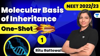 Phoenix 20 Biology Most Important Video for NEET 2025  Udaan [upl. by Glassman313]