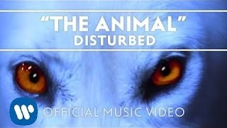 Disturbed  The Animal Official Music Video [upl. by Spevek298]