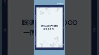 WEDGWOOD Weibo Updated XiaoZhan audio recommending the new quotWild Strawberry Ink Bluequot tea set [upl. by Llerrehc]