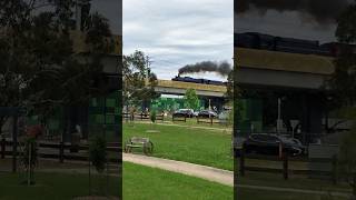 🚂 Steam Train Chuggin down the SkyRail 4K steamtrain train steamengine [upl. by Hemminger896]