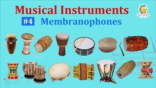 Membranophones 14 Musical Instruments Pictures amp Sounds  Ethnographic Classification  Olympiad [upl. by Azer]