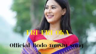 Fri fri okha bodo song music 2016 romantic song [upl. by Melamed168]