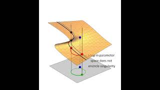 Root Finding by Monodromy Path Tracking [upl. by Eustatius489]