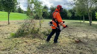 Giant hogweed vs stihl fs 91 [upl. by Ynneb396]