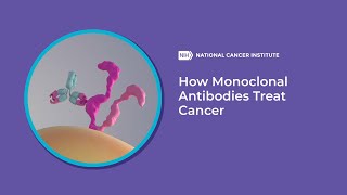 How Monoclonal Antibodies Treat Cancer [upl. by Clynes]