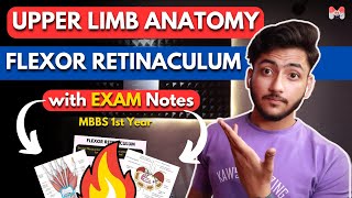 Upper Limb Anatomy  Flexor Retinaculum  MBBS 1st Year  Full Explanation With Notes  MBBS World [upl. by Qulllon]