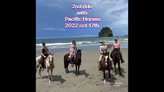 ready for take off  riders having fun on horse at playa brasilito Costa Rica [upl. by Ynnij]