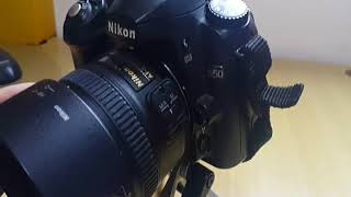 Nikon D50 [upl. by Neffirg]