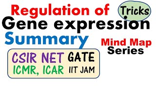 Y1112 Biology Introduction to Gene Expression [upl. by Ilsa]