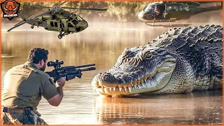 Discover How US Farmers Wild Boar Hunting By Helicopter And Crocodiles  Invasive Species [upl. by Niltiac]