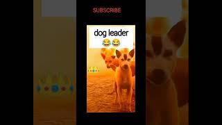 Dog attack 😂😂 funny trending funny ytshorts funnymemes [upl. by Laura506]