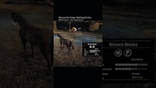 RDR2 • All Missouri Fox Trotter Horse Colors and Locations • Red Dead Redemption 2 [upl. by Ynnej]