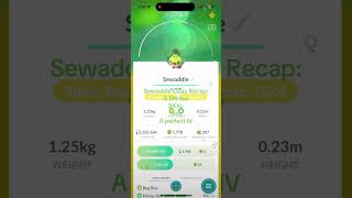 Sewaddle community day haul pokemon shinypokemon pokemoncommunityday [upl. by Ahkeber]