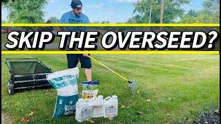 Fall Lawn Renovation Steps  Why I chose to skip overseeding [upl. by Scharaga]