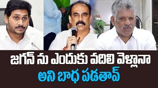 జగన్ ను ఎందుకు వదిలి వెళ్లానా అని బాధ పడతావు  Chevireddy Bhaskar Reddy Comments On Srinivasa Reddy [upl. by Hogarth]