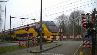 Spoorwegovergang Rosmalen  Dutch railroad crossing [upl. by Elokin]