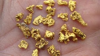 GOLD DETECTING a Rich Patch of Small Nuggets  Wal nLiz [upl. by Rebme]