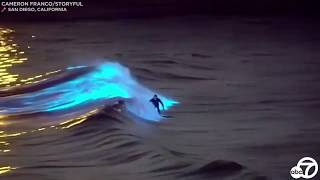 Bioluminescent waves Surfers ride glowing waters off San Clemente San Diego coasts  ABC7 [upl. by Vittorio]