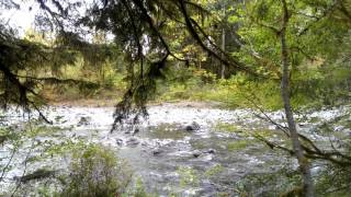 Sol Duc River  Klahowya Campground  Olympic National Forest  Washington [upl. by Four]