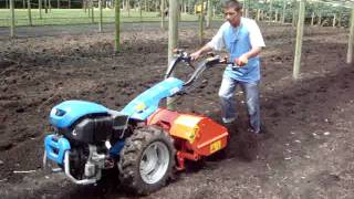 Motocultor BCS 750 con cavadora de 60 cms Tractocentro Colombia [upl. by English]