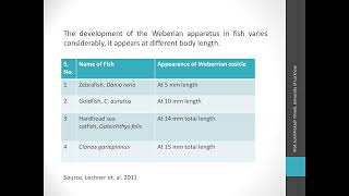 Weberian Ossicles [upl. by Kaspar]